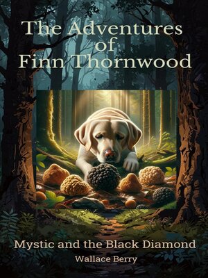 cover image of Mystic and the Black Diamond